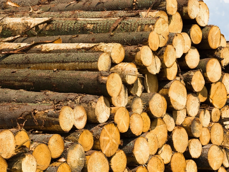 ساختار و جنس چوب میز ناهارخوری مدل مارتین